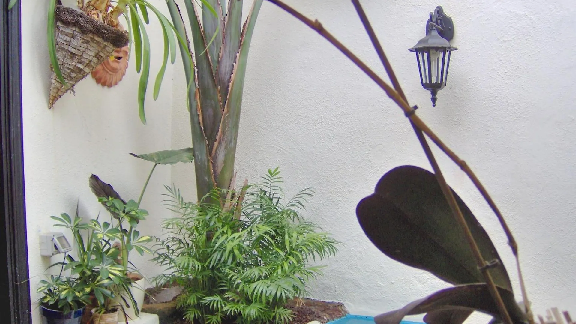 Apartment Modern Holiday Home With Balcony With Sea And Mountain Views No Teide-View Icod De Los Vinos Spain